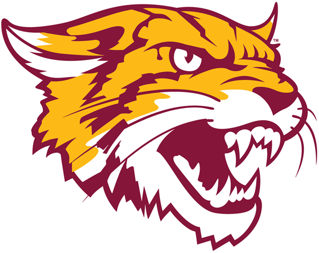 Bethune-Cookman Wildcats 2016-Pres Alternate Logo iron on transfers for T-shirts